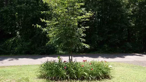 226 Washington Cir, Honea Path, SC 29654 photo 28