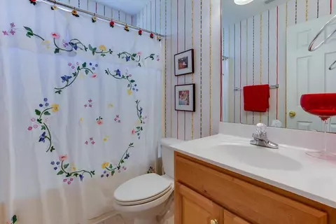 104 Red Wing Ct, Easley, SC 29642 photo 22