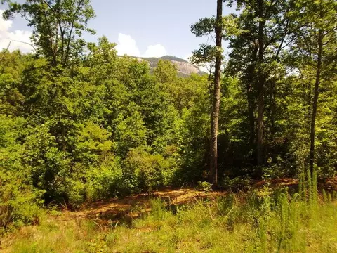 446 W Gate Rd, Pickens, SC 29671 photo 17