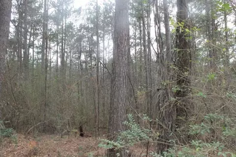 169 Creekside Dr, Pickens, SC 29671 photo 7