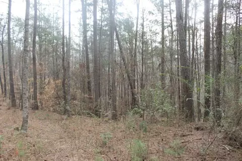 169 Creekside Dr, Pickens, SC 29671 photo 8