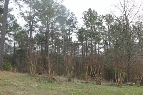169 Creekside Dr, Pickens, SC 29671 photo 1