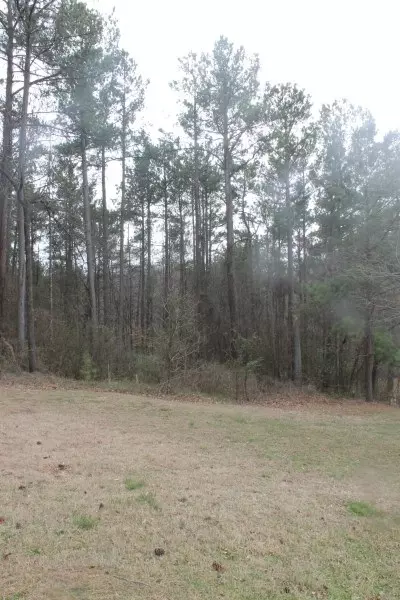 169 Creekside Dr, Pickens, SC 29671 photo 6