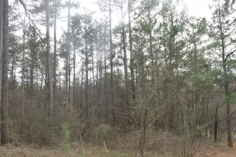 169 Creekside Dr, Pickens, SC 29671 photo 4