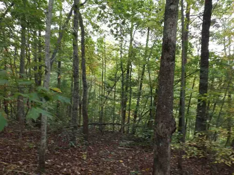 215 Broken Bow Run, Pickens, SC 29671 photo 6