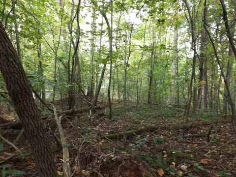 215 Broken Bow Run, Pickens, SC 29671 photo 4