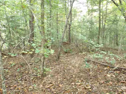 215 Broken Bow Run, Pickens, SC 29671 photo 5