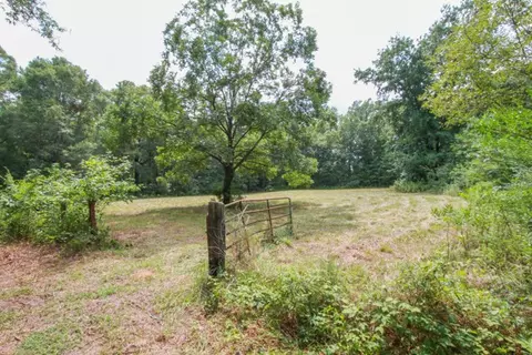 210 Daventon Rd, Pelzer, SC 29669 photo 30
