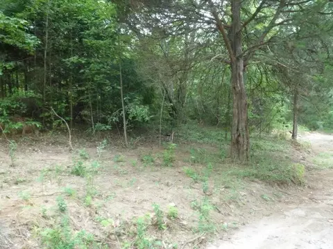 959 E Cedar Rock St, Pickens, SC 29671 photo 1