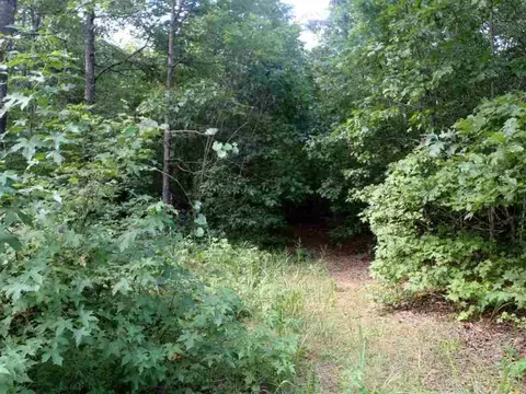 148 Lone Starr Ln, Starr, SC 29684 photo 16