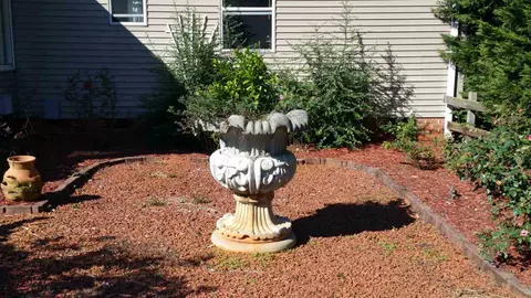 804 Bishop Branch Rd, Central, SC 29630 photo 12