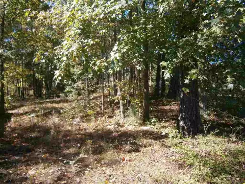 224 Horseshoe Rd, Honea Path, SC 29654 photo 1