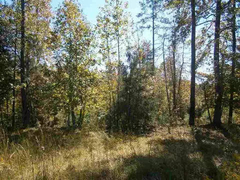 224 Horseshoe Rd, Honea Path, SC 29654 photo 4