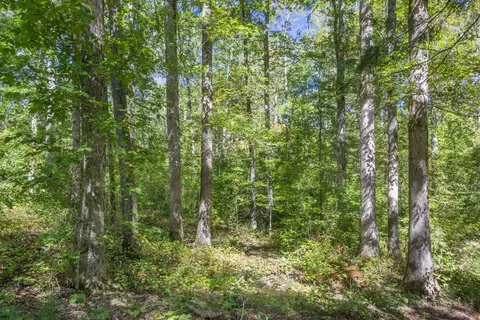 1040 Wilson Rd, Central, SC 29630 photo 8