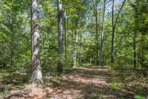 1040 Wilson Rd, Central, SC 29630 photo 9