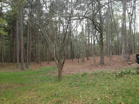 269 Currahee Pt, Toccoa, GA 30577 photo 26