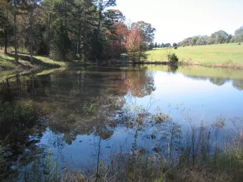 163 Cleveland Rd, Honea Path, SC 29654 photo 24