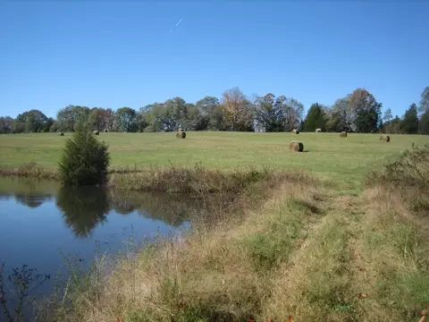 163 Cleveland Rd, Honea Path, SC 29654 photo 25