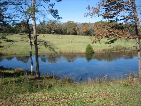 163 Cleveland Rd, Honea Path, SC 29654 photo 23