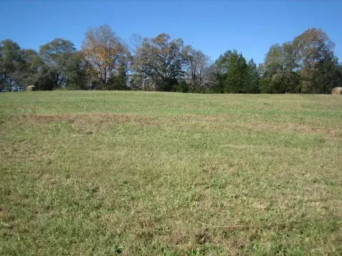 163 Cleveland Rd, Honea Path, SC 29654 photo 28