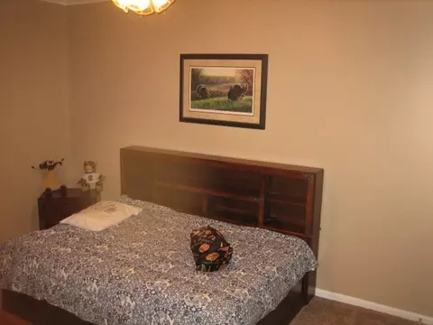 163 Cleveland Rd, Honea Path, SC 29654 photo 16