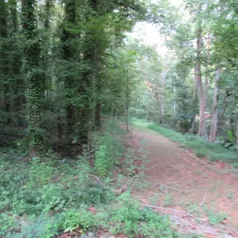113 Valley View Dr, Clemson, SC 29631 photo 2