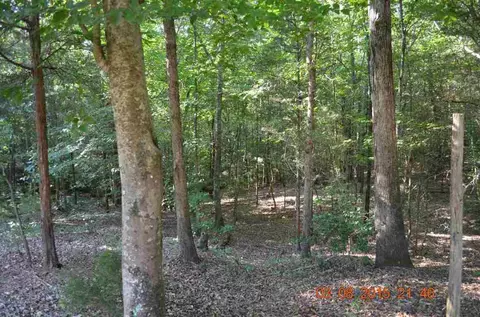 215 River Trace Ln, Honea Path, SC 29654 photo 17