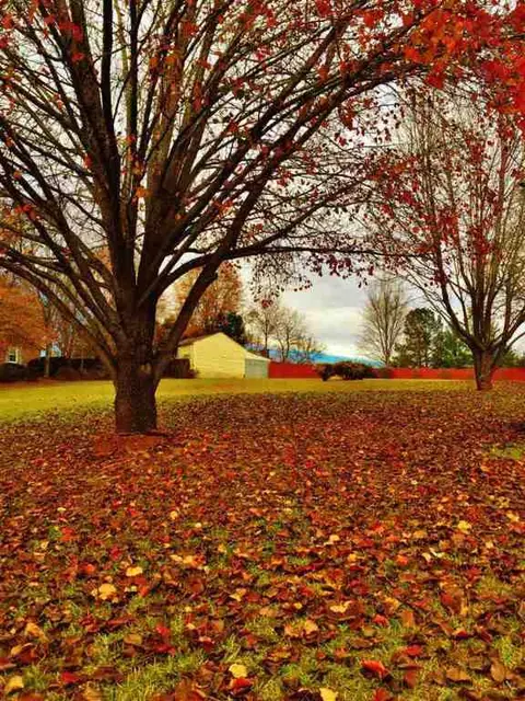 908 Trotter Rd, Pickens, SC 29671 photo 19