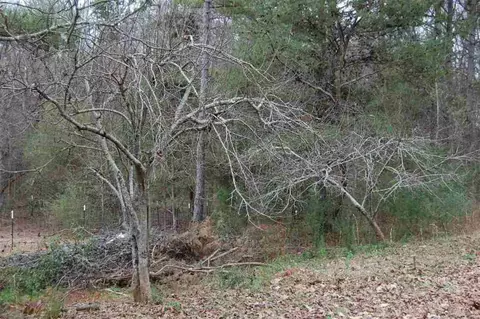 102 Oak Tree Dr, Honea Path, SC 29654 photo 22