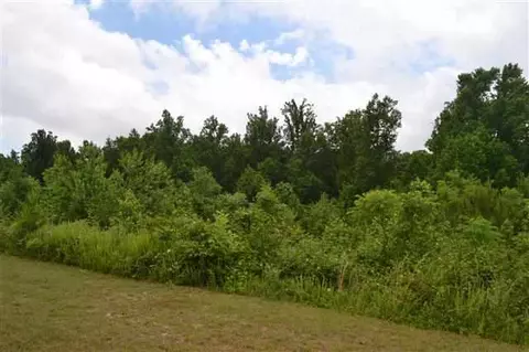 130 Carrie Leigh Ln, Pendleton, SC 29670 photo 12