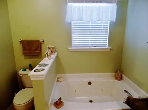 256 Rivers Edge Dr, Easley, SC 29642 photo 16