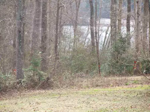 123 Crescent Cove Cir, Starr, SC 29684 photo 3