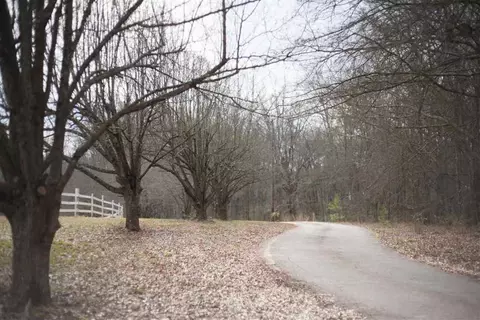 1115 Fitzroy Dr, Pendleton, SC 29670 photo 30