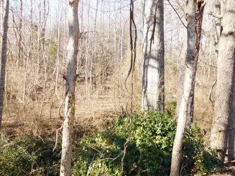 834 John St, Pickens, SC 29671 photo 26