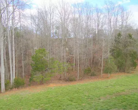 420 Jericho Ridge Trl, Easley, SC 29640 photo 24