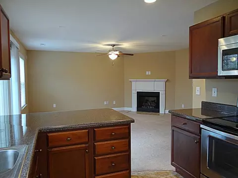 420 Jericho Ridge Trl, Easley, SC 29640 photo 17