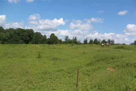 609 Spearman Rd, Pelzer, SC 29669 photo 9