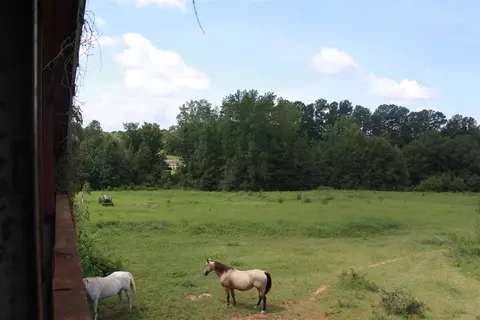 609 Spearman Rd, Pelzer, SC 29669 photo 10