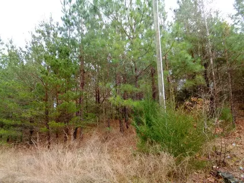 120 Revis Rd #UNRESTRICTED ACREAGE, Pendleton, SC 29670 photo 1