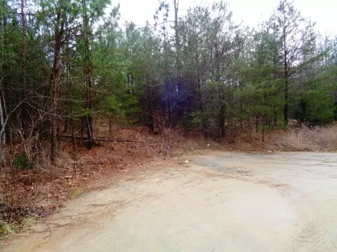120 Revis Rd #UNRESTRICTED ACREAGE, Pendleton, SC 29670 photo 2