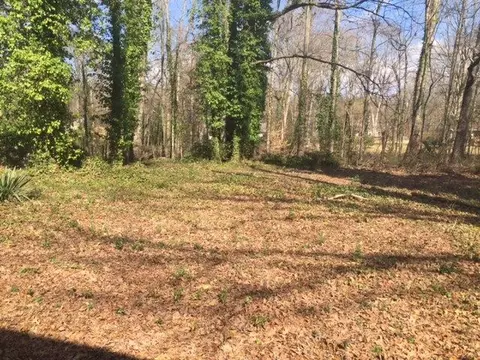 902 Crenshaw St, Pendleton, SC 29670 photo 20