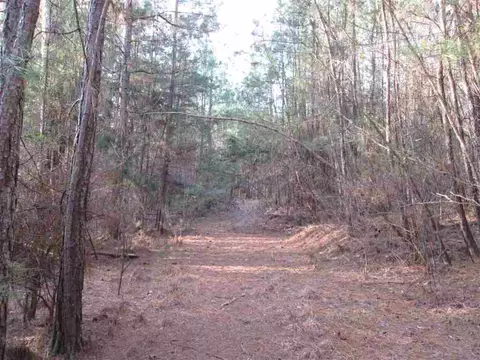 417 Brookstone #WAY, Central, SC 29630 photo 5
