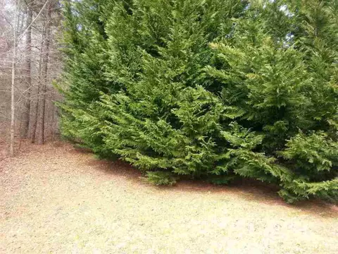 545 Kingsman Ln, Easley, SC 29642 photo 22