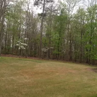 113 Othol, Easley, SC 29642 photo 36