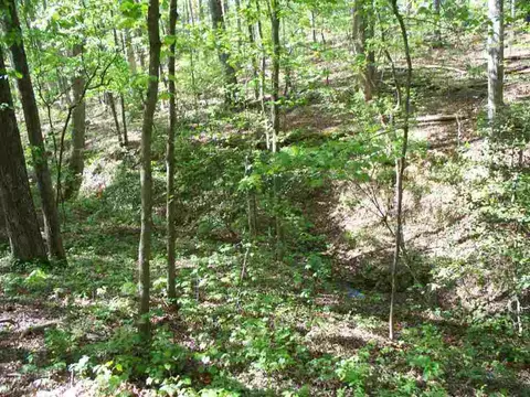5907 Midway Rd, Williamston, SC 29697 photo 28