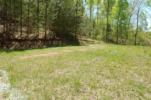 176 Mcjunkin Rd, Central, SC 29630 photo 6