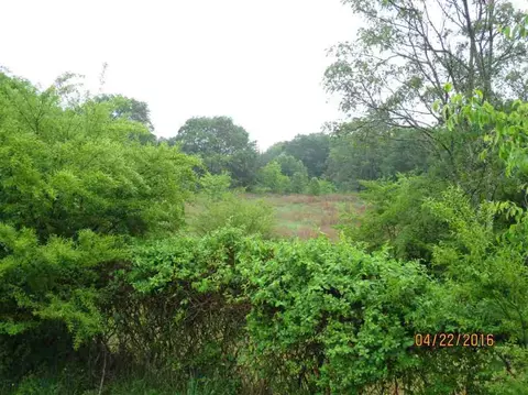 205 Blackbottom Rd, Liberty, SC 29657 photo 20