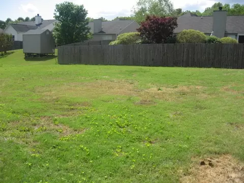 216 Worcester Ln, Easley, SC 29642 photo 5