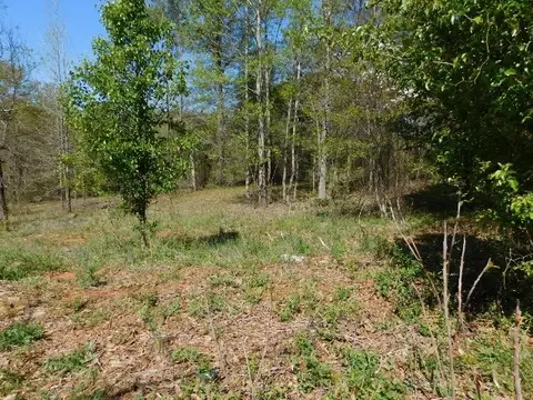 130 Halston Rdg, Easley, SC 29642 photo 2