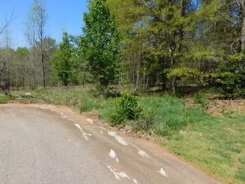 130 Halston Rdg, Easley, SC 29642 photo 3